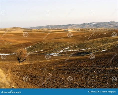 The Wake of Nature in the Steppe Climate and Steppe Climate, the Love ...