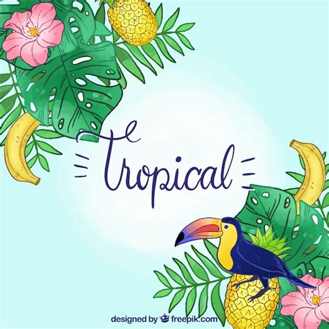 Hawaii Background Vectors & Illustrations for Free Download