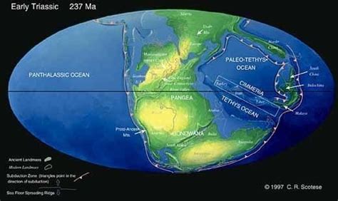 When the super ocean Panthalassa existed, was there islands or ...