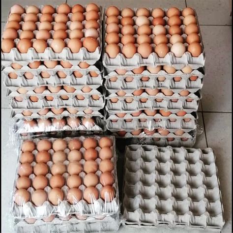 Fresh Chicken Table Eggs Fertilized Hatching Eggs White And Brown