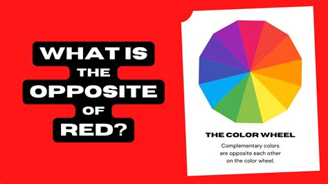 What Is the Opposite of Red? (Complementary Color) | Color Meanings