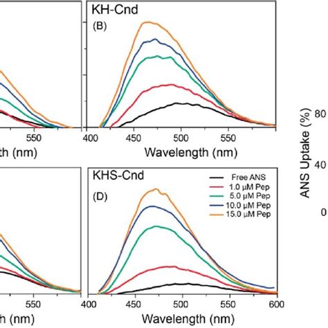 A Sequence And Helical Wheel Representation Of Amphipathic Structures