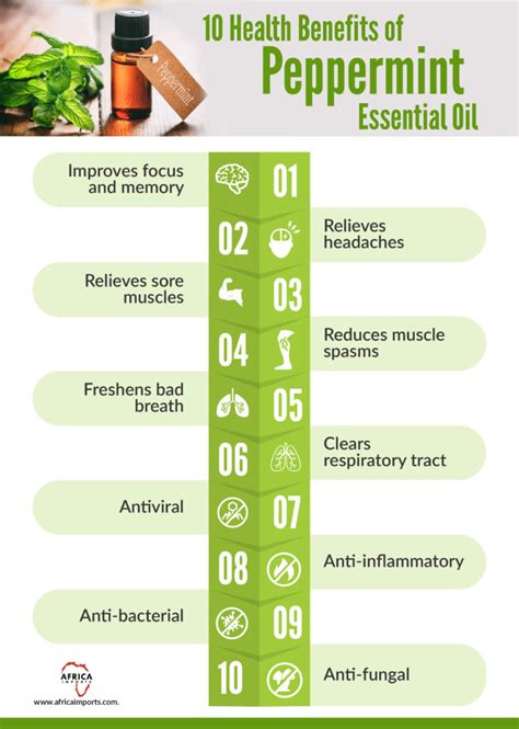 10 Health Benefits Of Peppermint Essential Oil Africa