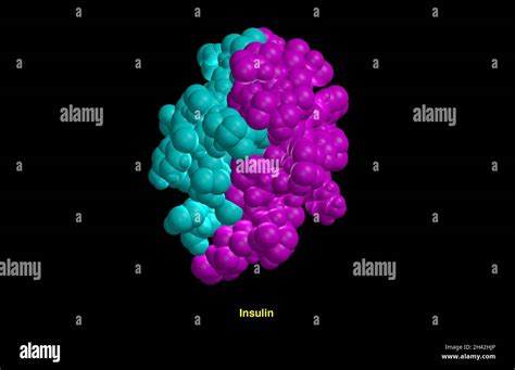 Modelo molecular de la molécula de insulina Fotografía de stock Alamy