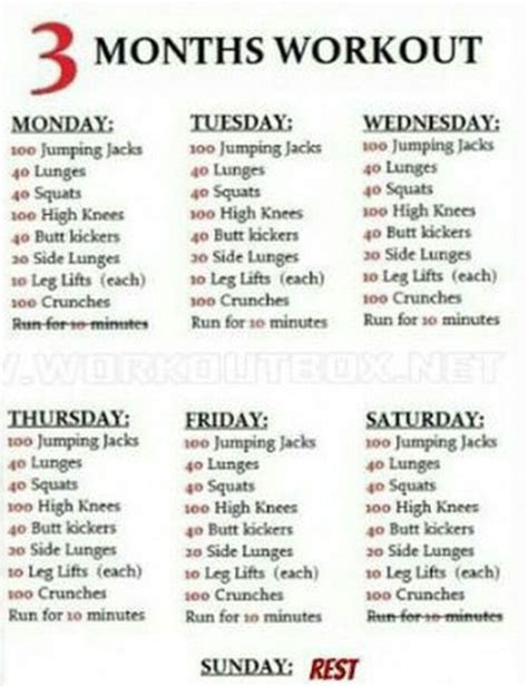 3 months gym workout plan