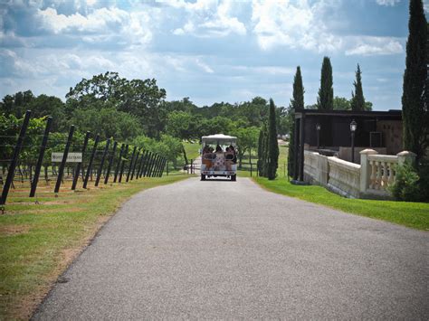 Wineries In Fredericksburg, TX | Wine Tours & Shuttles