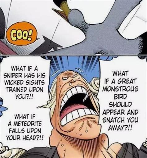 Animeviv On Twitter Onepiece Onepiece The Bird Is Morgans