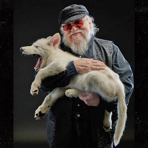 Game Of Thrones Dire Wolves 7
