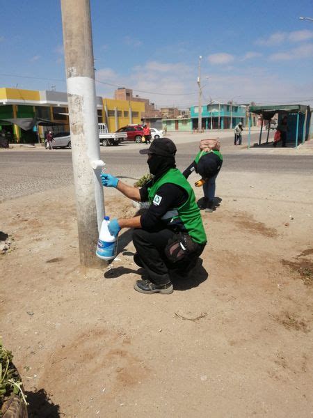 Recolecci N Selectiva De Residuos S Lidos Y Mantenimiento De Pintado