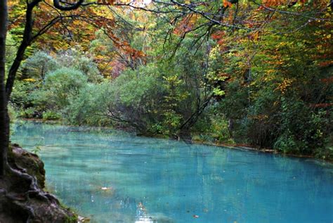 reserva natural conceito