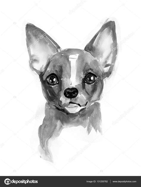 Cute Chihuahua Drawing at PaintingValley.com | Explore collection of ...