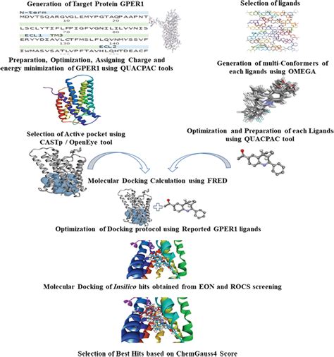 Step By Step Workflow For Performing Docking Based Virtual Screening