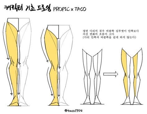 타코작가 On Twitter 다리 해부학 드로잉 강좌