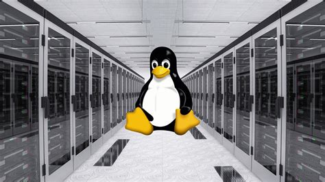 Best Linux OS for Your Server | Hi Tech Gazette