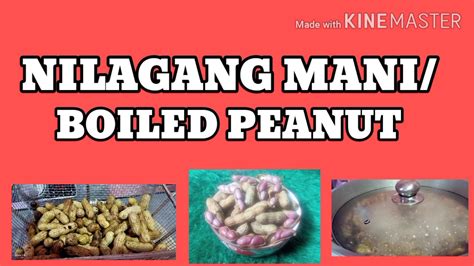 HOW TO COOK BOILED PEANUT NILAGANG MANI YouTube