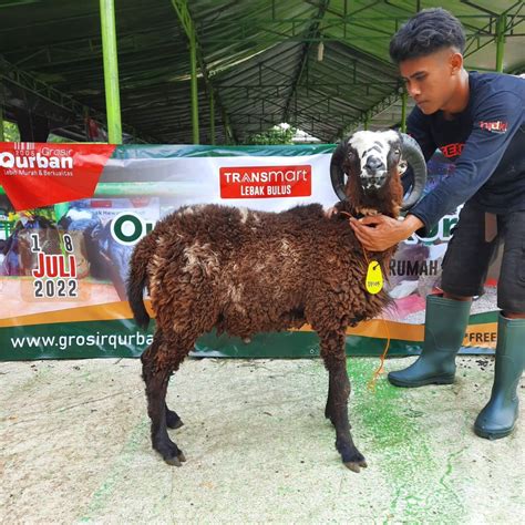 Karya Masyarakat Mandiri Konsultan Pemberdayaan Masyarakat Dan Bisnis