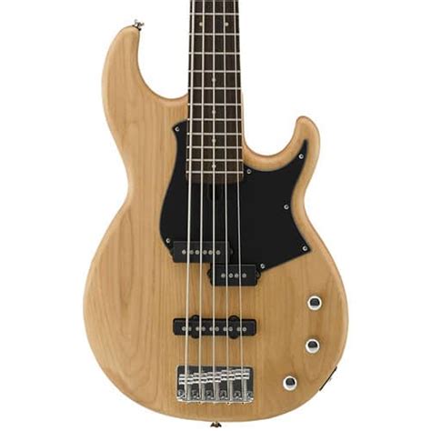 The 9 Best 5 String Bass Guitars The Ultimate 2022 Guide