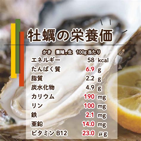 【低たんぱく食事療法】もっと知ろう！食品の栄養価～牡蠣～ お知らせ・ブログ｜バイオテックジャパン公式ショップ 越後くらぶ