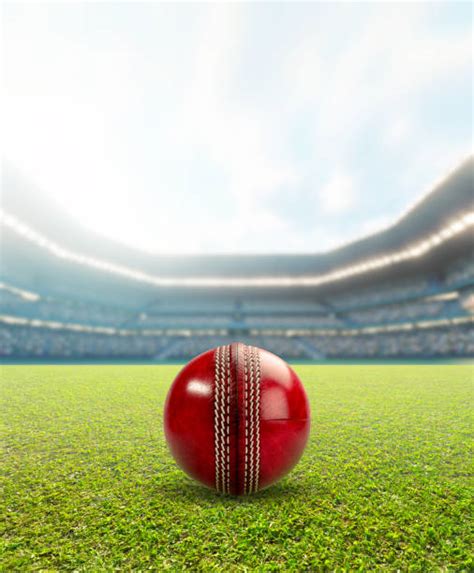 180+ Cricket Fans Stadium Stock Photos, Pictures & Royalty-Free Images - iStock