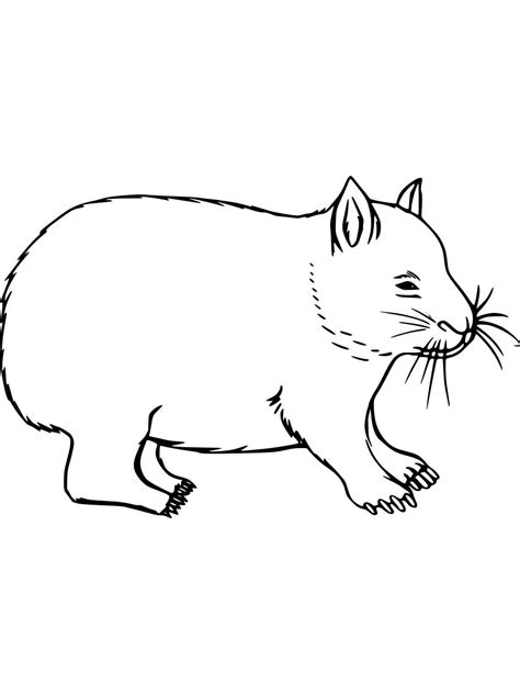 Easy Wombat Coloring Page