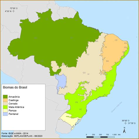 Biomas Do Brasil Mapa Poligonal Verloop Io