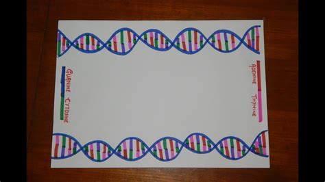 Science Border Design Printable