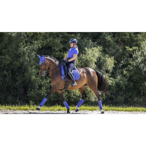 Lemieux Loire Classic Satin Dressage Square Bluebell