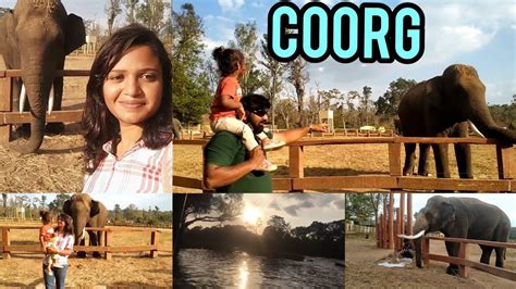 What An Amazing Experience Dubare Elephant Camp Dubare Coorg