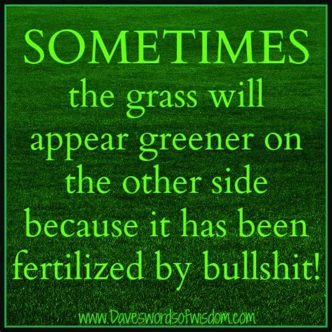 The Grass Isn T Always Greener