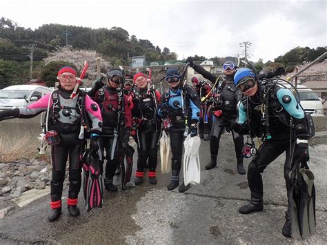 今日も江ノ浦で潜ってきました ダイビングスクール ブルーアース21世田谷