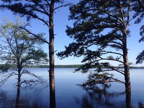 Paddle Boarding Adventures Embrace The Wild In Oklahomas Best Wildli