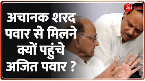 Maharashtra Politics Ajit Ncp Sharad Pawar