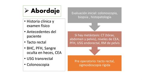 Caso Cl Nico C Ncer De Recto Ppt