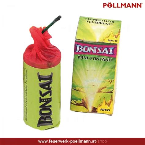 Bonsai von Nico Mini Vulkane Fontänen Feuerwerk Pöllmann Online Shop