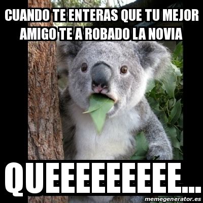 Meme Koala Cuando Te Enteras Que Tu Mejor Amigo Te A Robado La Novia