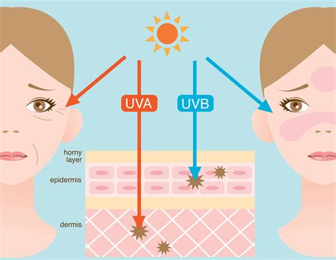 Sunscreen Do You Understand The Label Voiz Asia