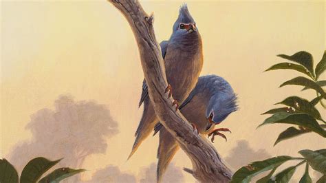 Tiny fossil reveals what happened to birds after dinosaurs went extinct ...