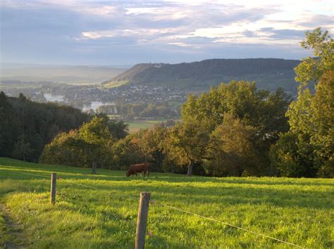 Images Gratuites Paysage Arbre La Nature Herbe Montagne Champ