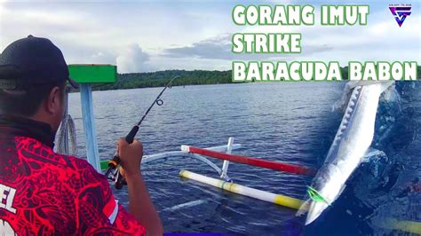 Goyang Imut Bisa Strike Si Tukang Begal Babon Ultra Light Jigging