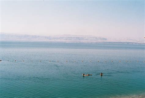 Excursion D Une Journ E La Mer Morte Depuis La Ville D Amman