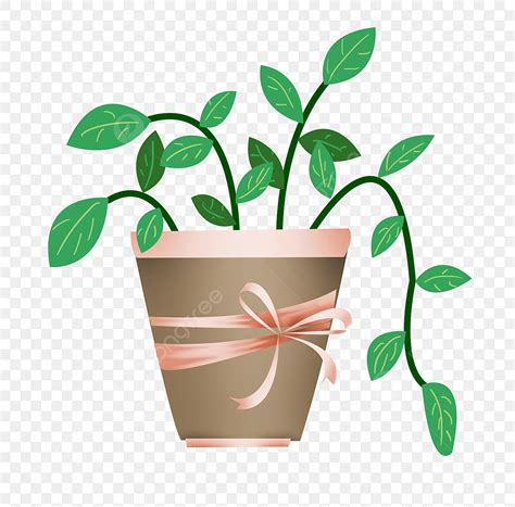 Soil In A Pot Clipart