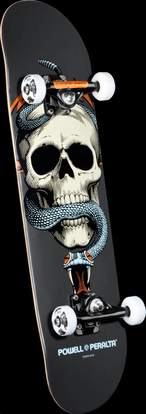 Powell Peralta Skull And Snake Complete Skateboard Gray 7 625 X 31