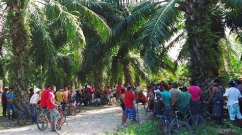 Si siguen invasiones no vendrá inversión en el campo y habrá