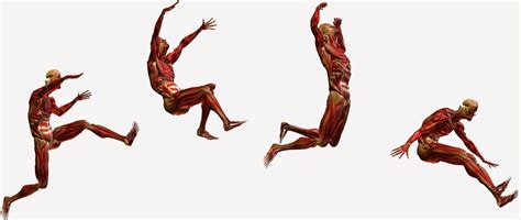 Resultado de imagen para biomecanica