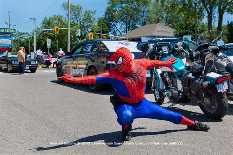 Welland Rose Festival Press & Media — Welland Rose Festival