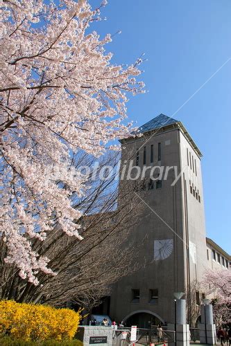 首都大学東京 写真素材 1901720 フォトライブラリー Photolibrary