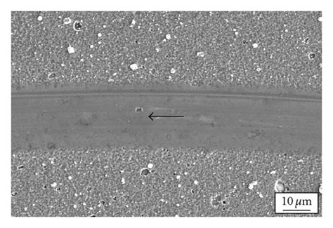 Sem Micrographs Illustrating The Major Coating Failure Mechanisms In