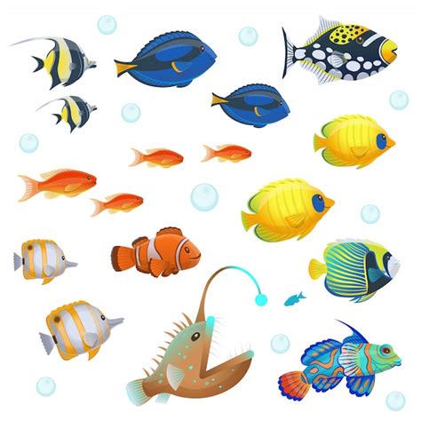 Premium Vector Tropical Fish Set