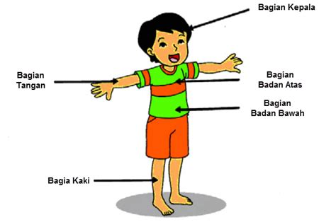 Gambar Kartun Anggota Badan Yang Ada Dua