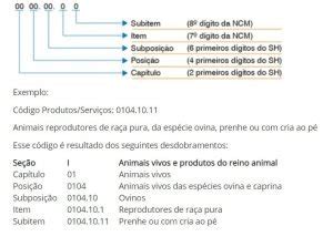 O Que Ncm Como Consultar Corretamente